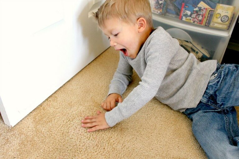 How to get carpet stains out, like magic! The Kusi Life